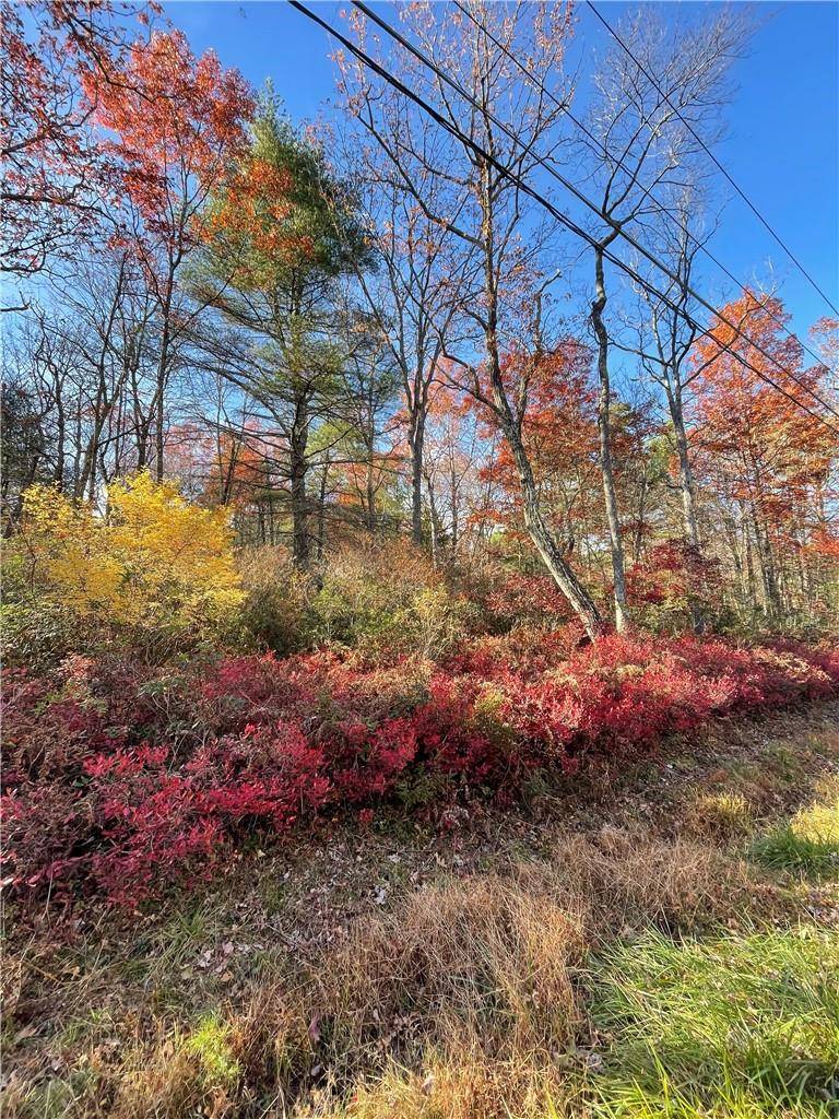 Glen Spey, NY 12737,Lot 84 Forestburgh RD