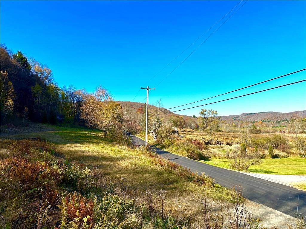 Livingston Manor, NY 12758,Hazel RD