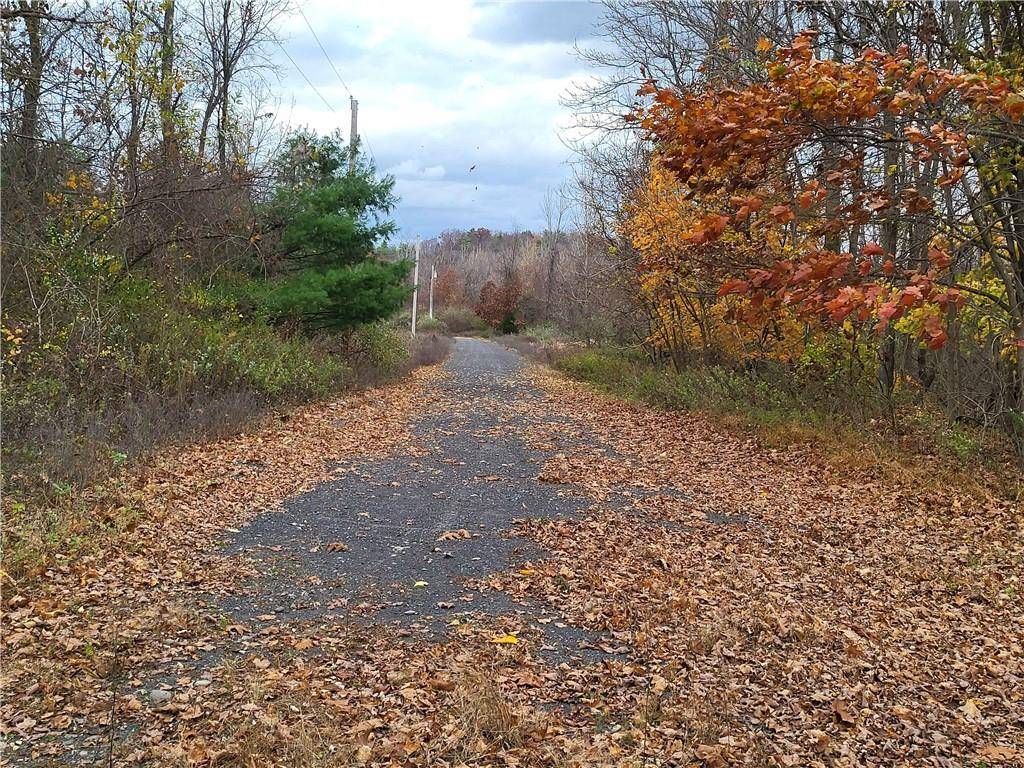 Rosendale, NY 12472,Ashley Drive - Lot 2