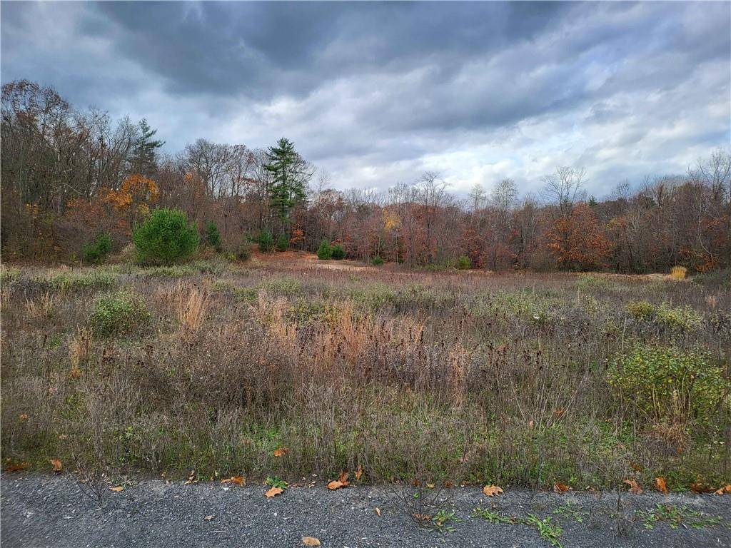 Rosendale, NY 12472,Ashley Drive - Lot 3