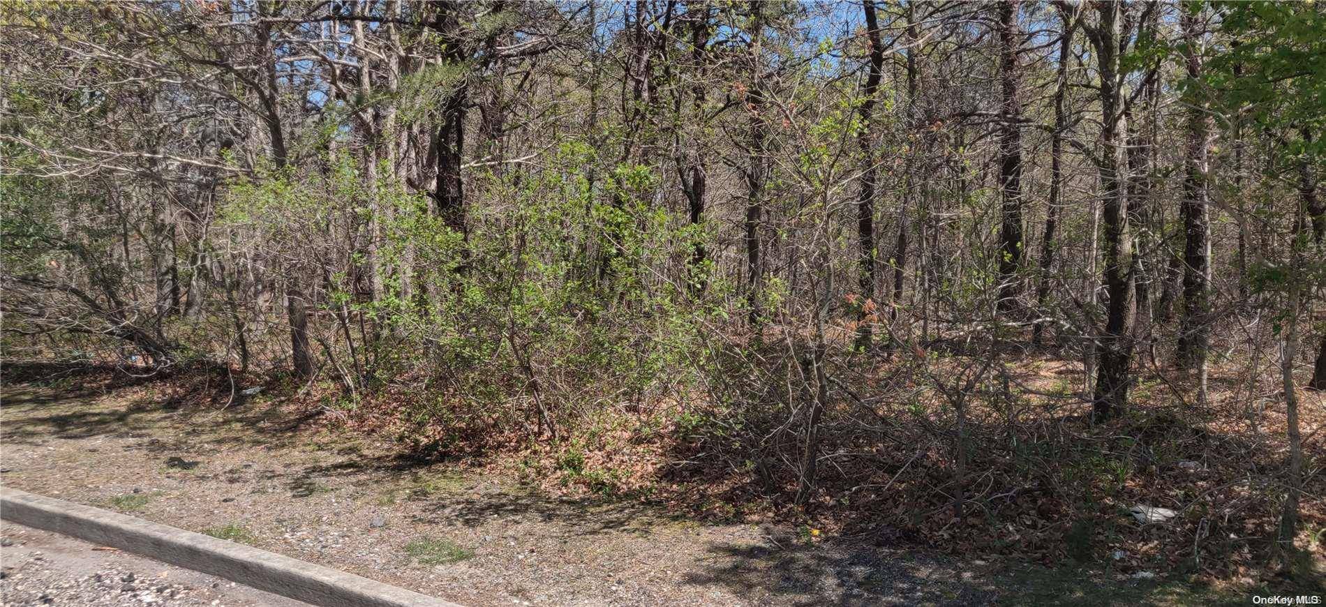 East Patchogue, NY 11772,Lot 2 Brookwood Ln