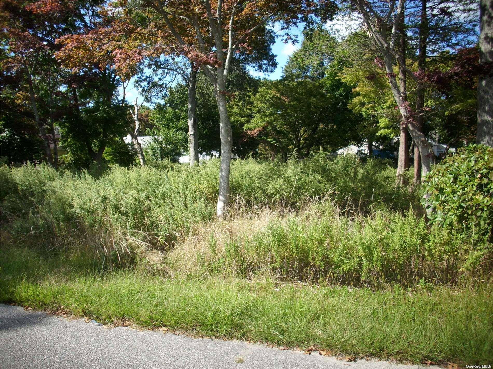 Mastic Beach, NY 11951,263 Elm RD