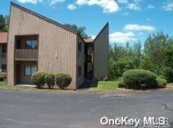Fallsburg, NY 12733,102 Davos Pointe #4G