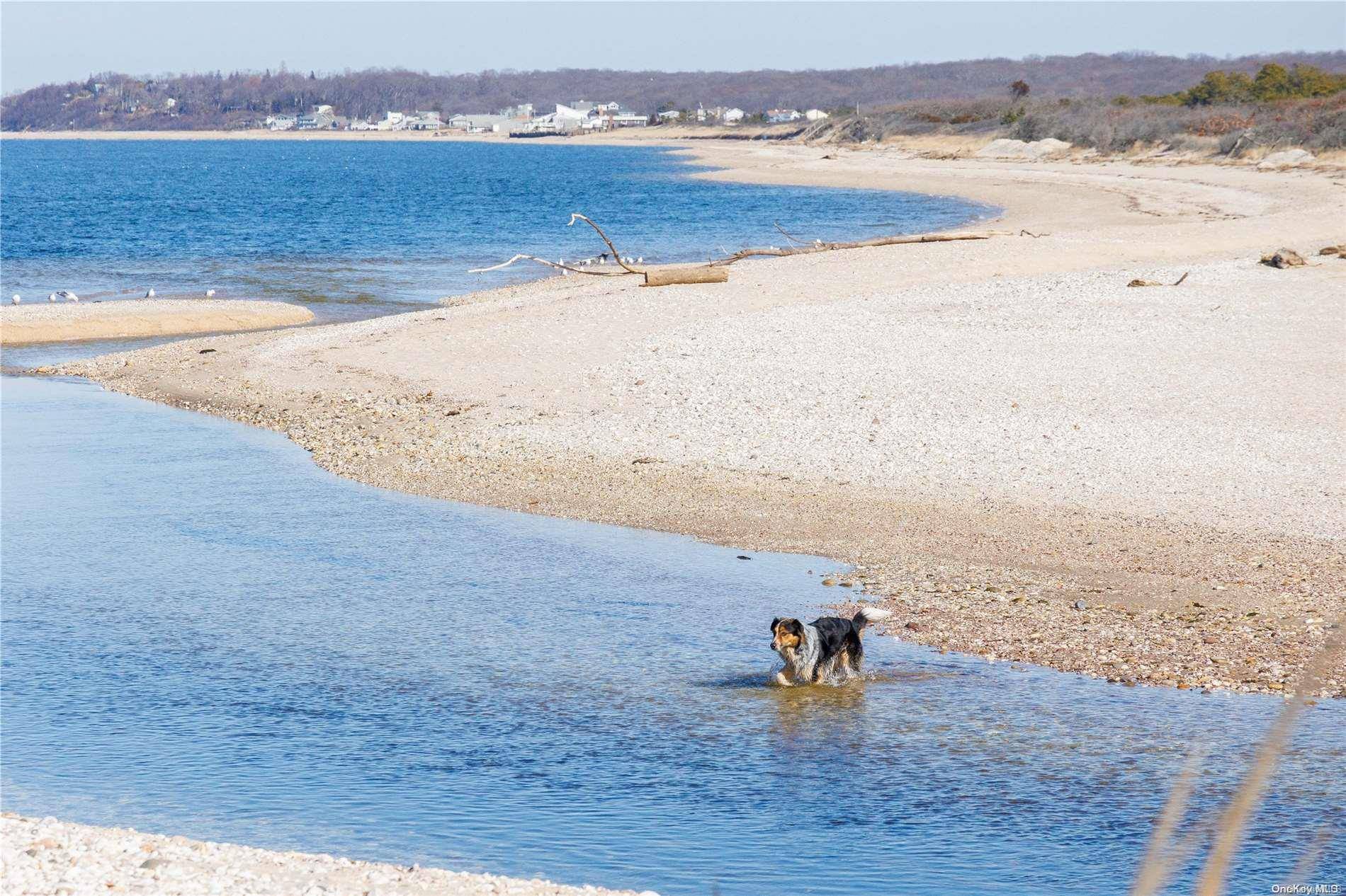 Peconic, NY 11958,155 Sound AVE