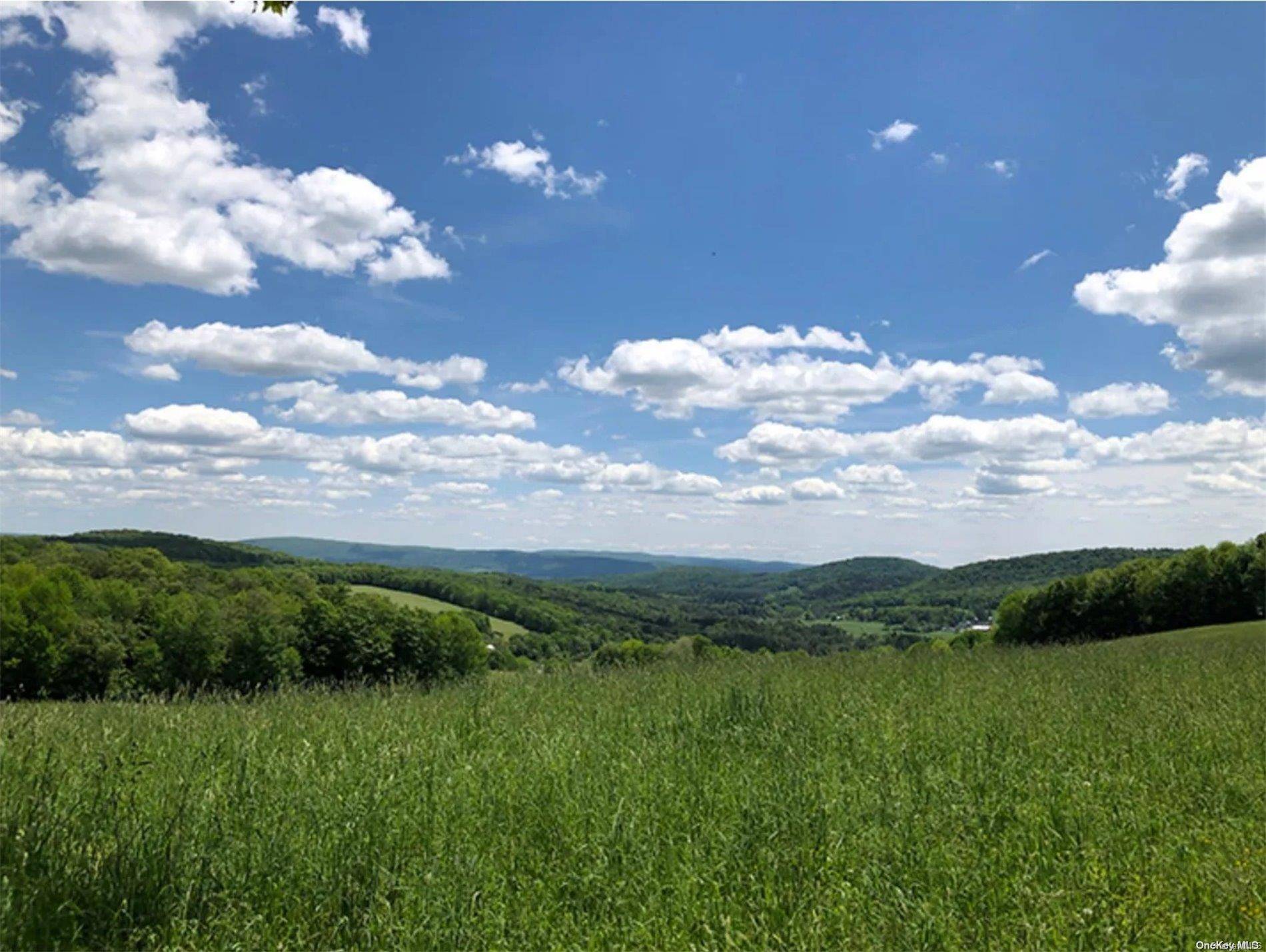 Out Of Area Town, NY 13348,00 Nersesian RD