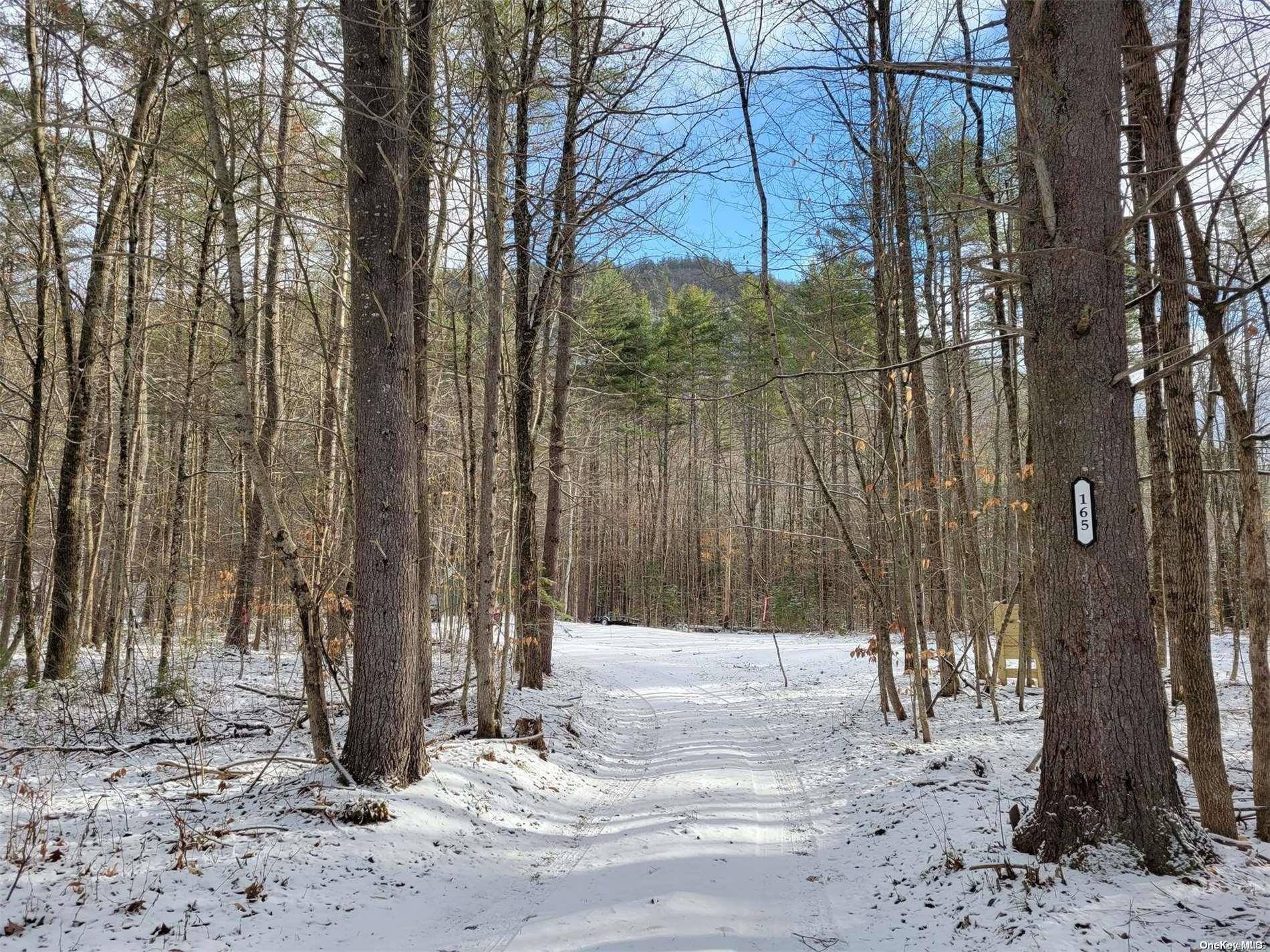 Other, NY,165 Mountain Path