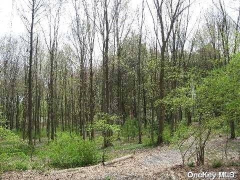 Lattingtown, NY 11560,Lot #32 Lattingtown RD