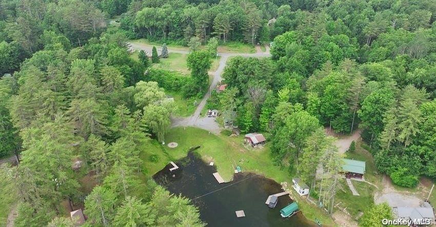 Out Of Area Town, NY 12827,302 Hadlock Pond RD