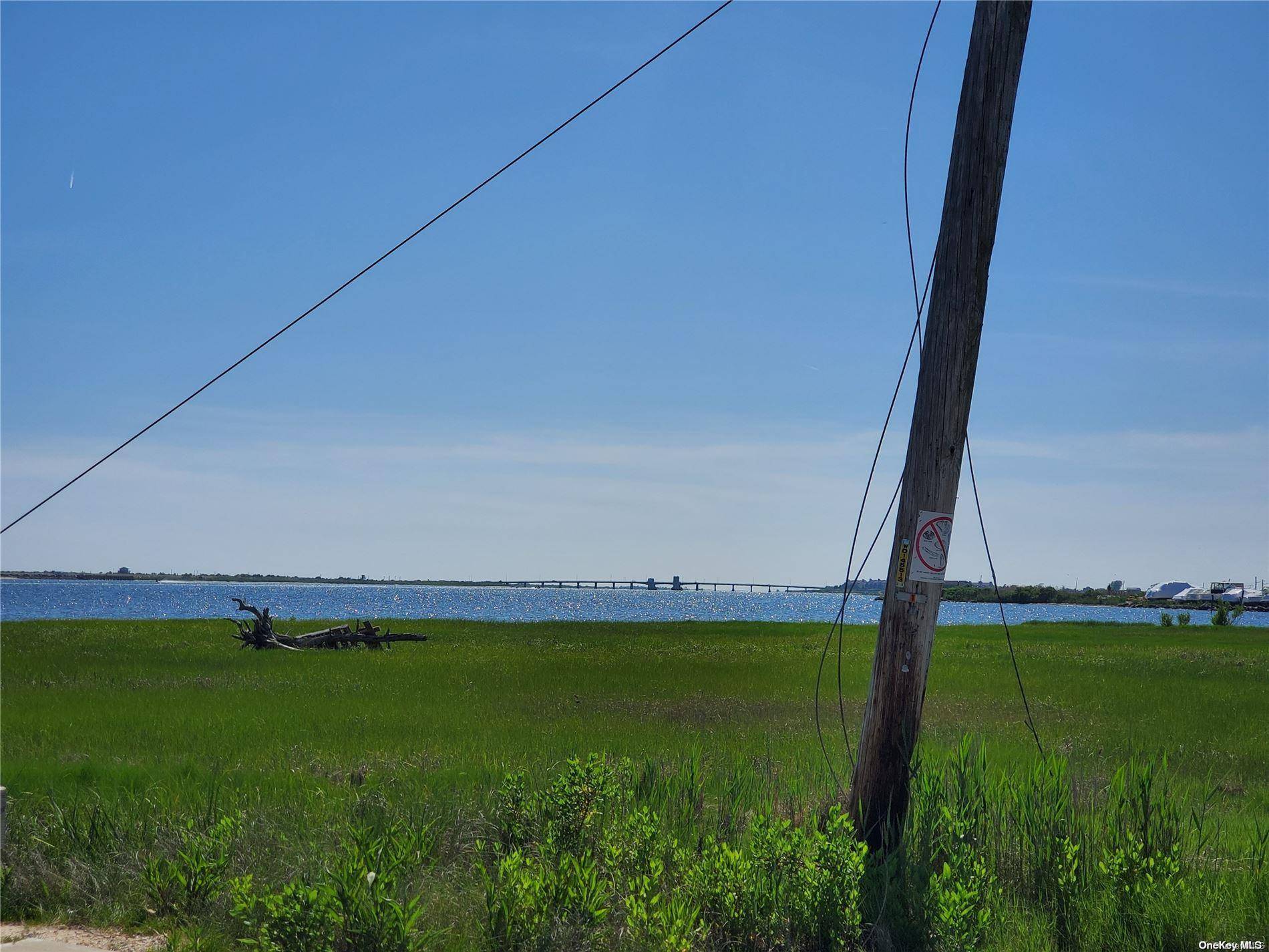 Mastic Beach, NY 11951,54 and 0 Cranberry/Diana DR