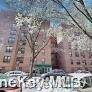 Jackson Heights, NY 11372,33-26 92 ST #4N