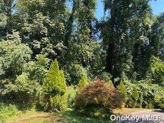 Kings Park, NY 11754,Lakeview Dr