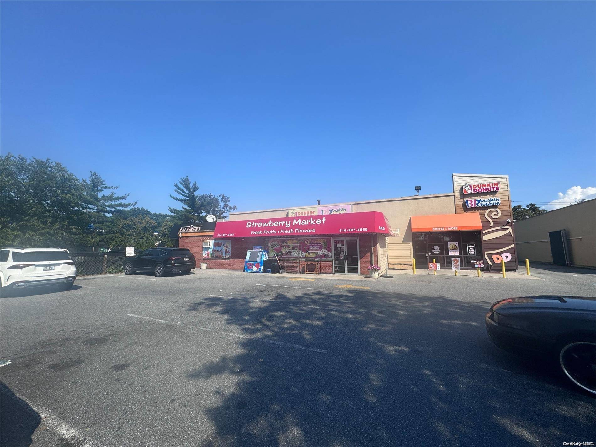 Westbury, NY 11590,840 Carman AVE