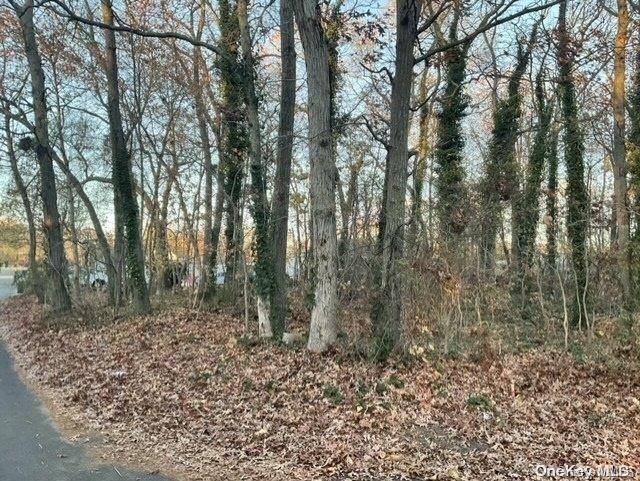 Mastic, NY 11950,Classon AVE