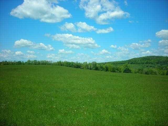 Millerton, NY 12546,SKUNKS MISERY RD