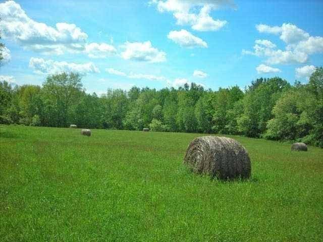 Millerton, NY 12546,SKUNKS MISERY RD