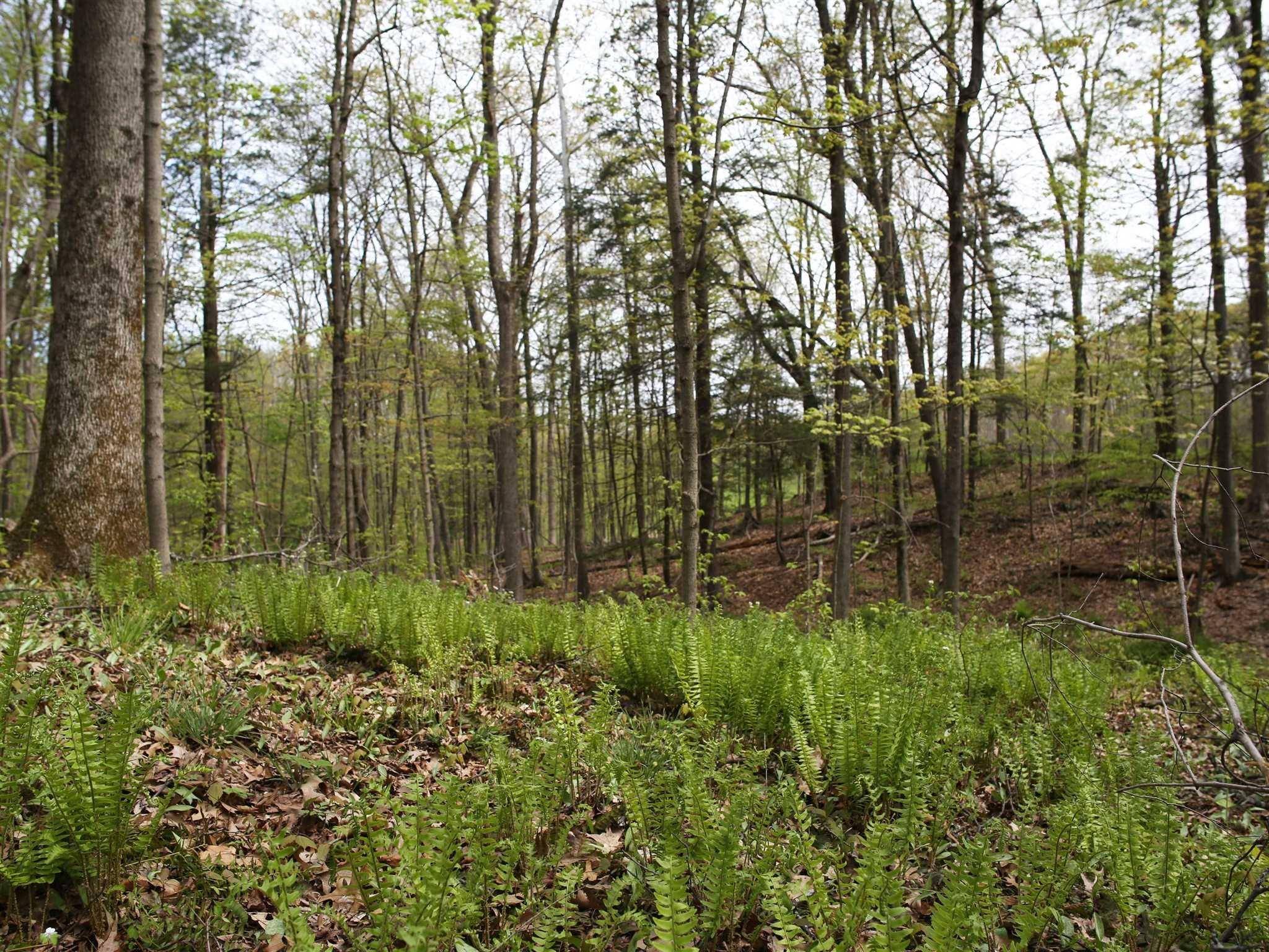 Rhinecliff, NY 12572,RUSSELL AVE