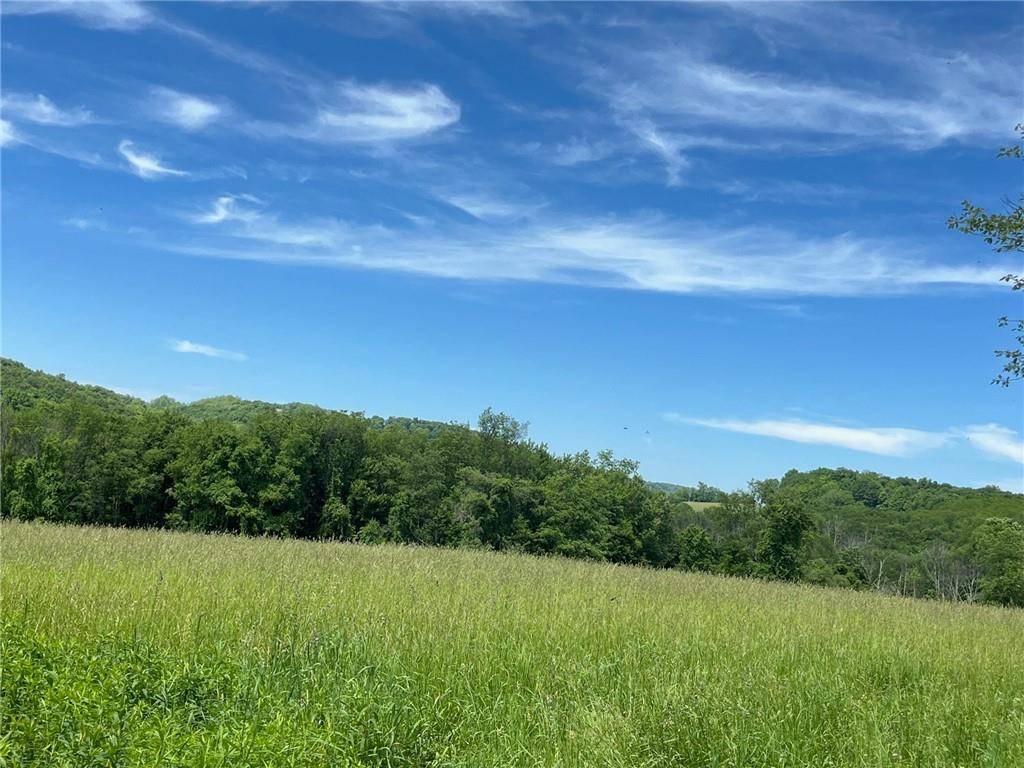 Amenia, NY 12501,PERRYS CORNERS RD