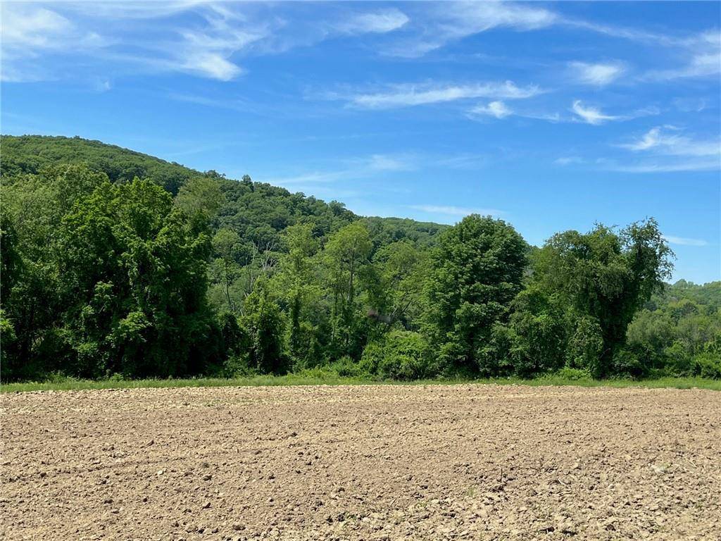 Amenia, NY 12501,PERRYS CORNERS RD