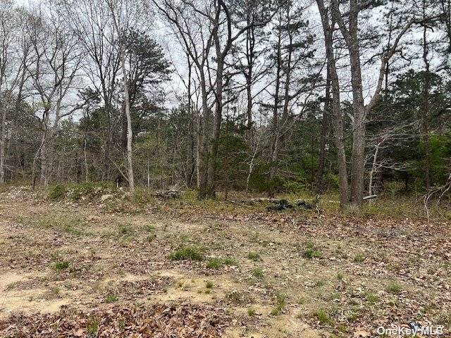 Manorville, NY 11949,Lot 4 N Jerusalem Hollow RD