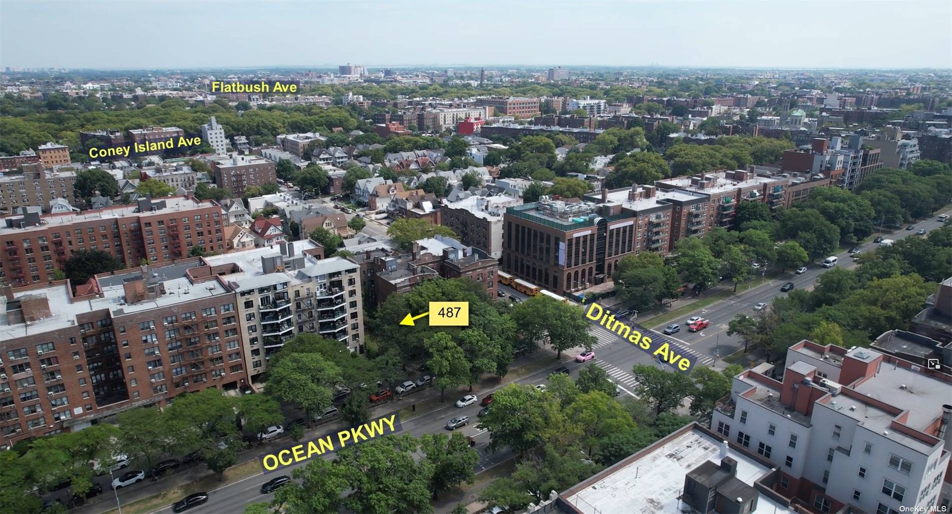 Kensington (brooklyn), NY 11218,487 Ocean Pkwy