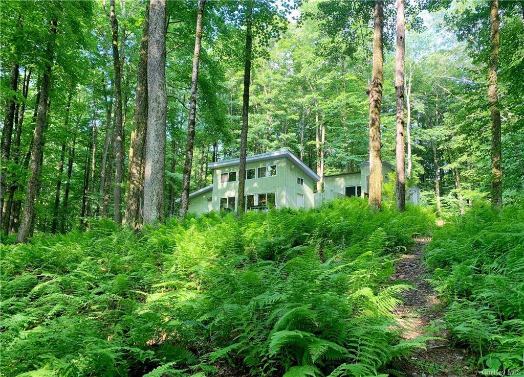 Call Listing Agent, NY 18417,513 Fork Mountain RD