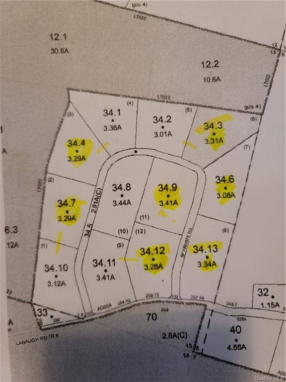 Fallsburg, NY 12733,Cara Court Lot 8