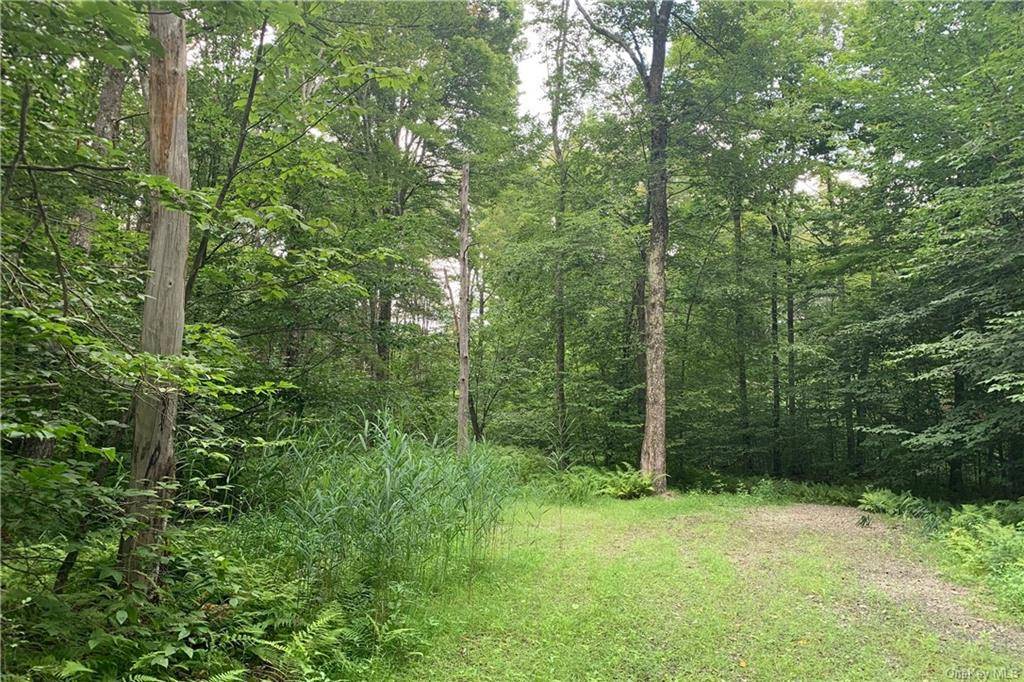 Bethel, NY 12720,Lot 71 Cove LN