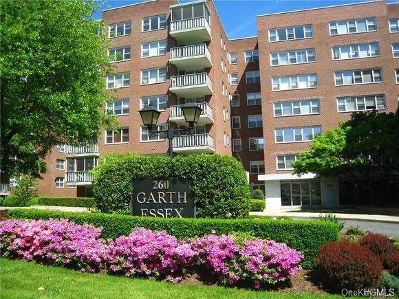 Scarsdale, NY 10583,260 Garth RD #3A5