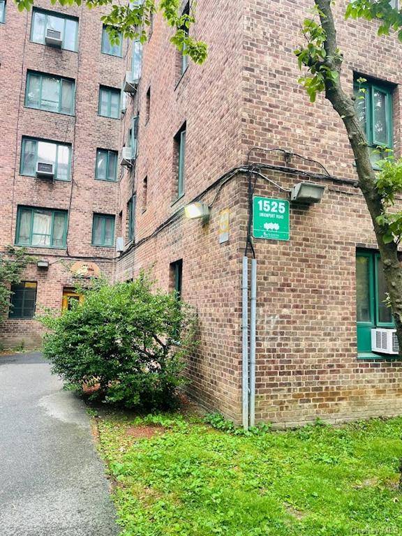 Bronx, NY 10462,1525 Unionport RD #3A