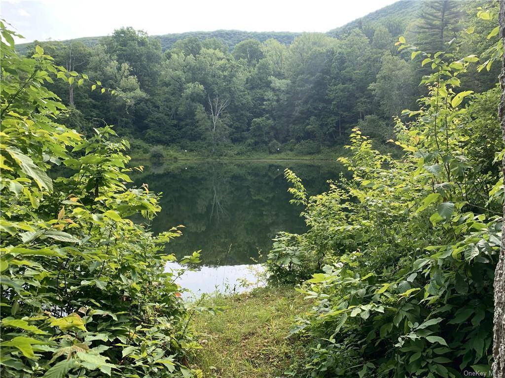 Millerton, NY 12546,Quarry Hill DR