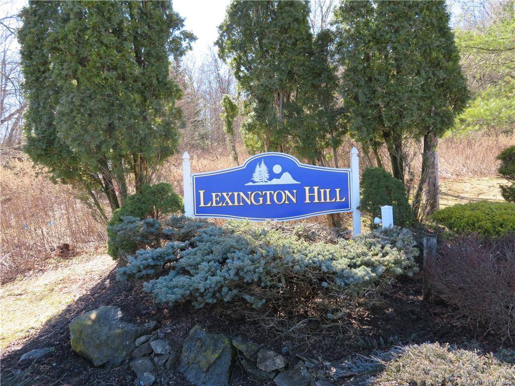 Harriman, NY 10926,16 Lexington HL #6