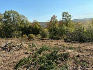 Poughquag, NY 12570,Lot 9 Woodin PL