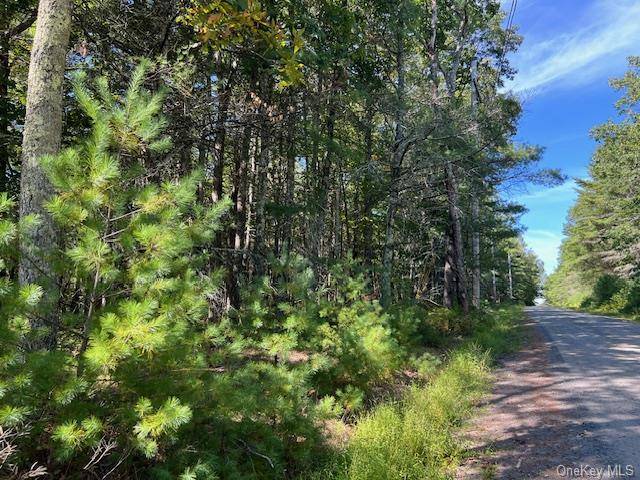 Glen Spey, NY 12737,Lot 64 Haring RD