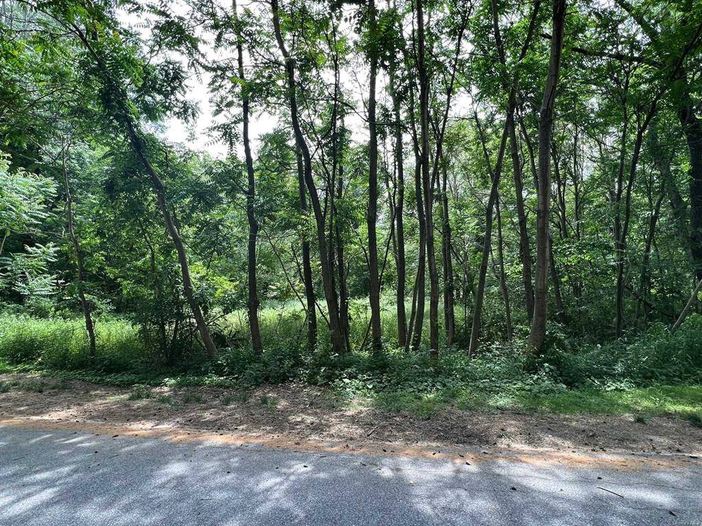 Pleasant Valley, NY 12569,Stream LN