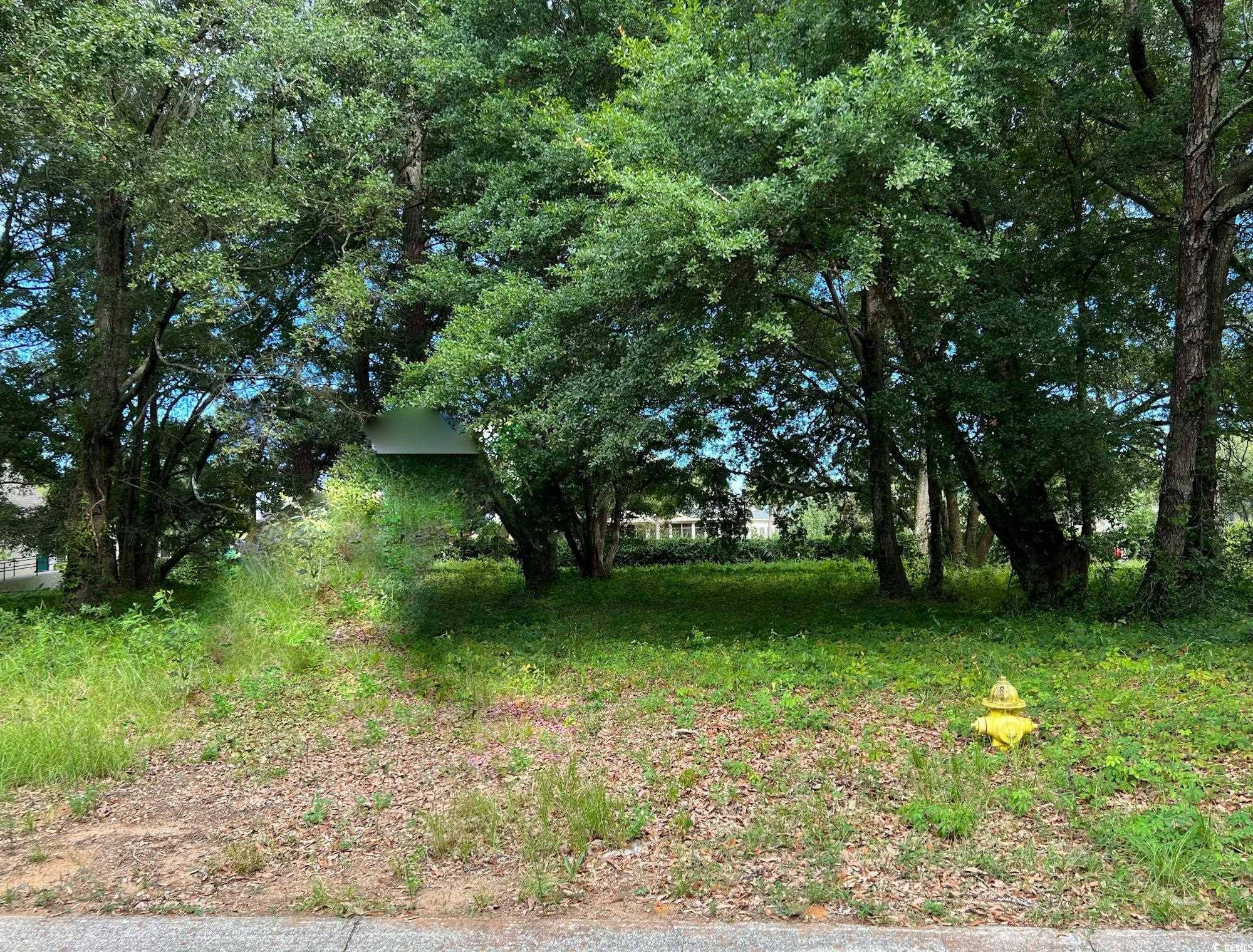 Pawleys Island, SC 29585,Portion Wall St.