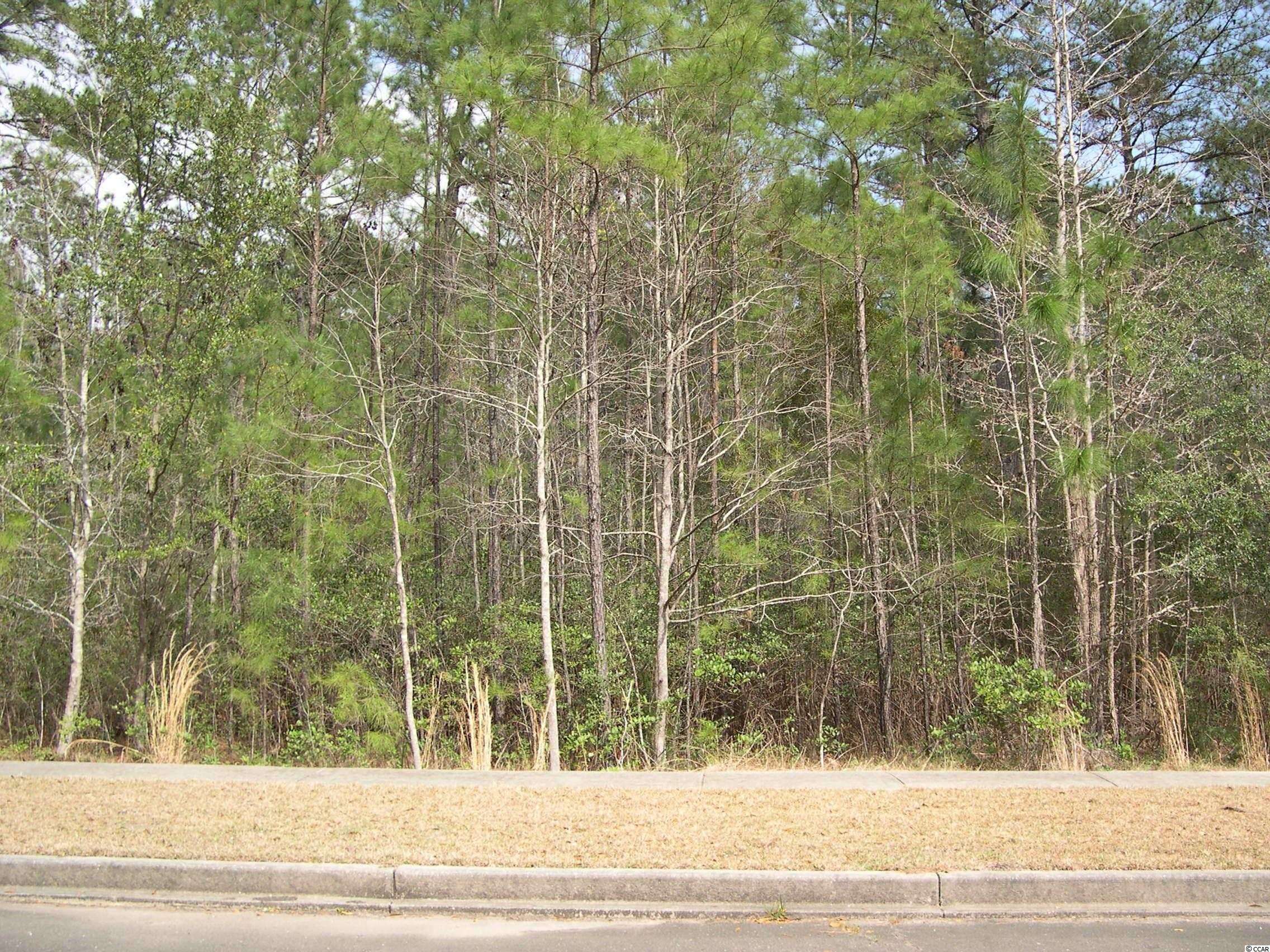 Georgetown, SC 29440,73 Pineberry Dr.