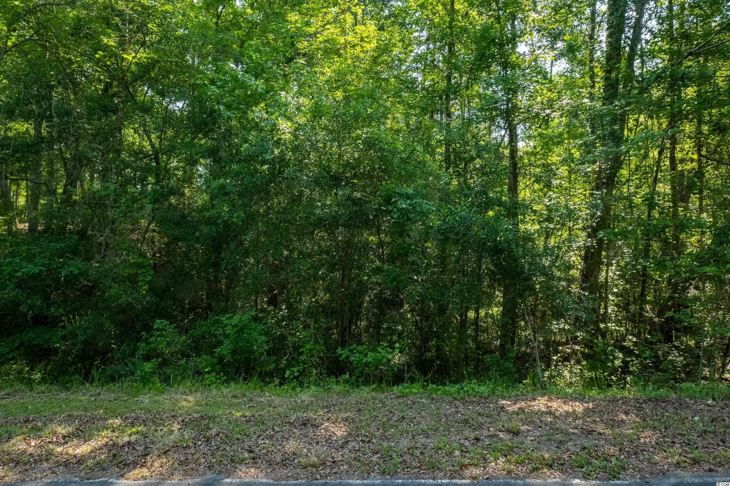 Georgetown, SC 29440,TBD Francis Marion Dr.