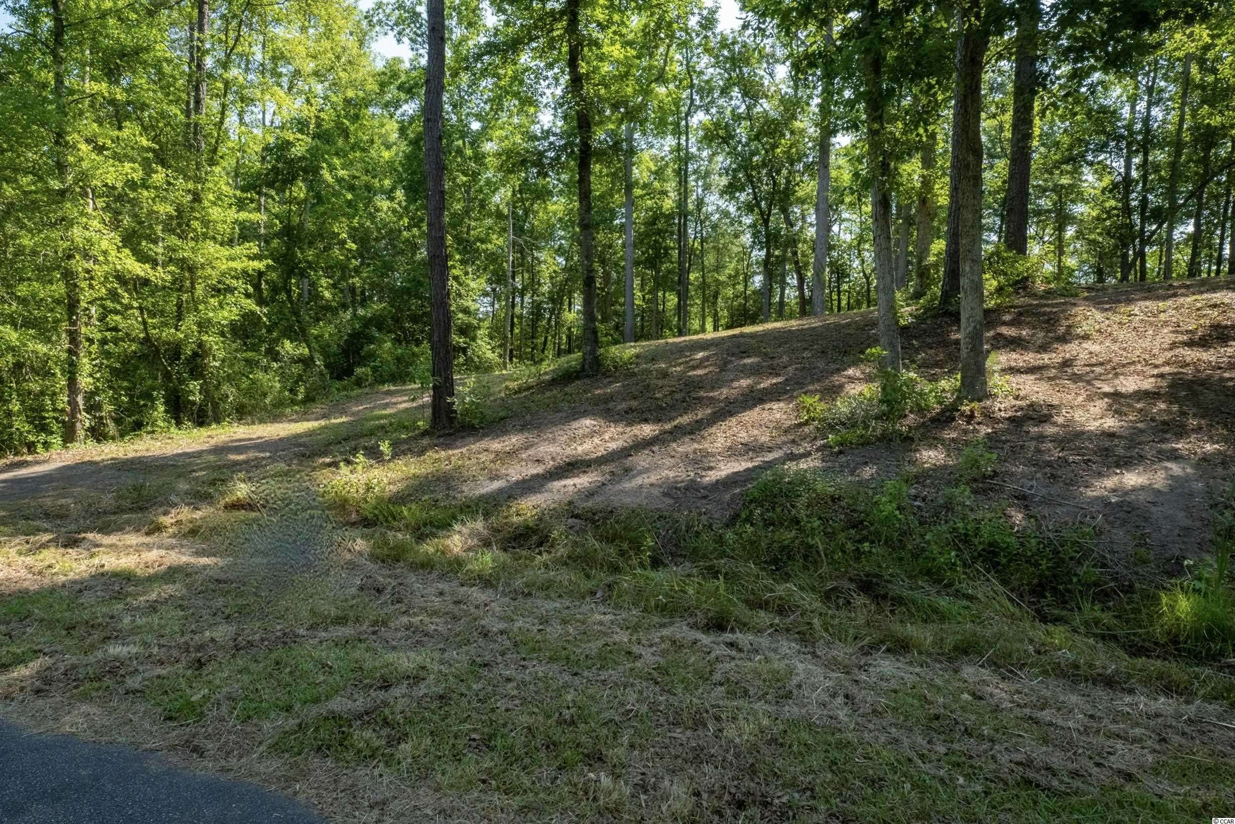 Georgetown, SC 29440,TBD Francis Marion Dr.