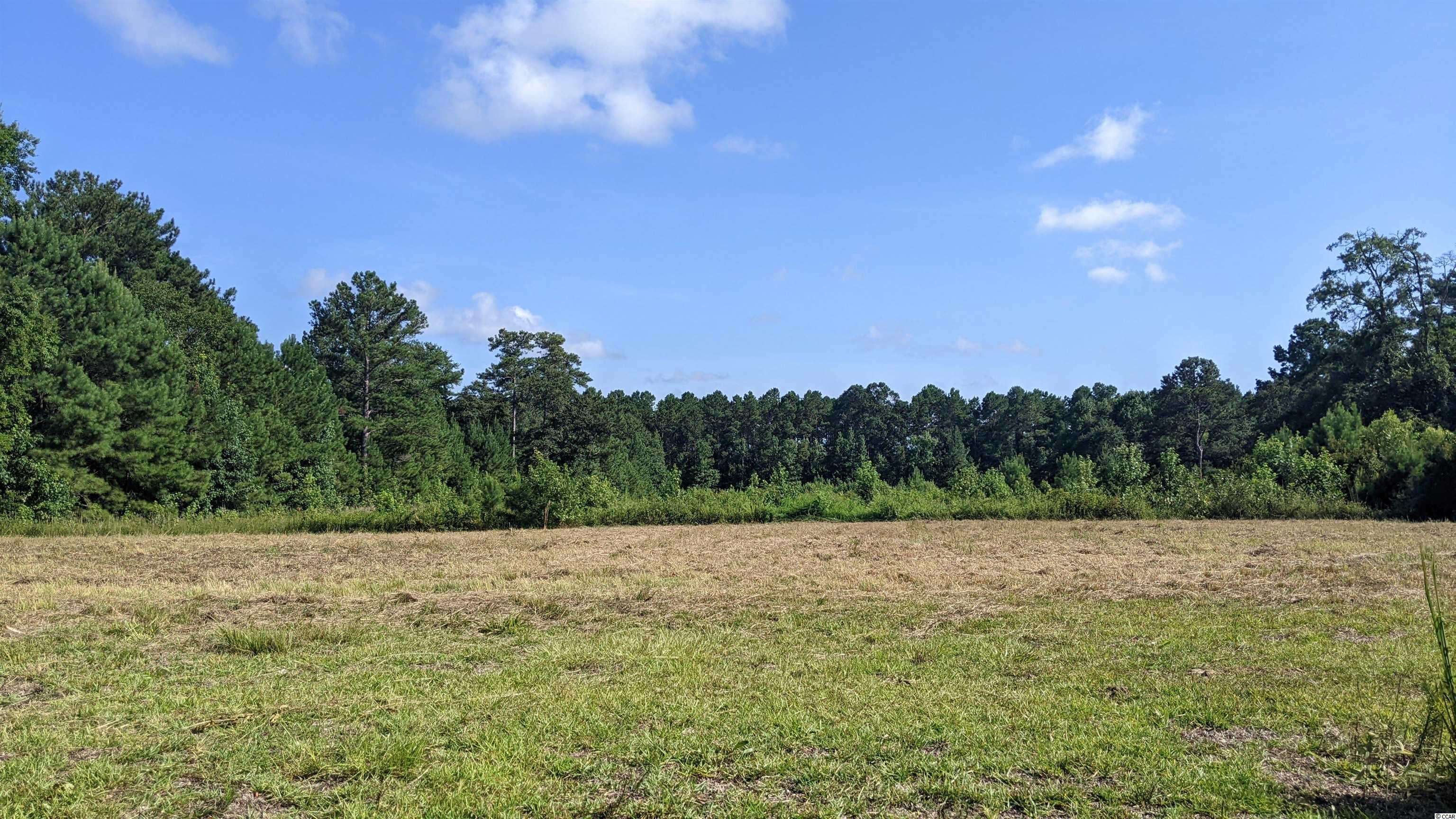 Tabor City, NC 28463,314 H. Coleman Lane