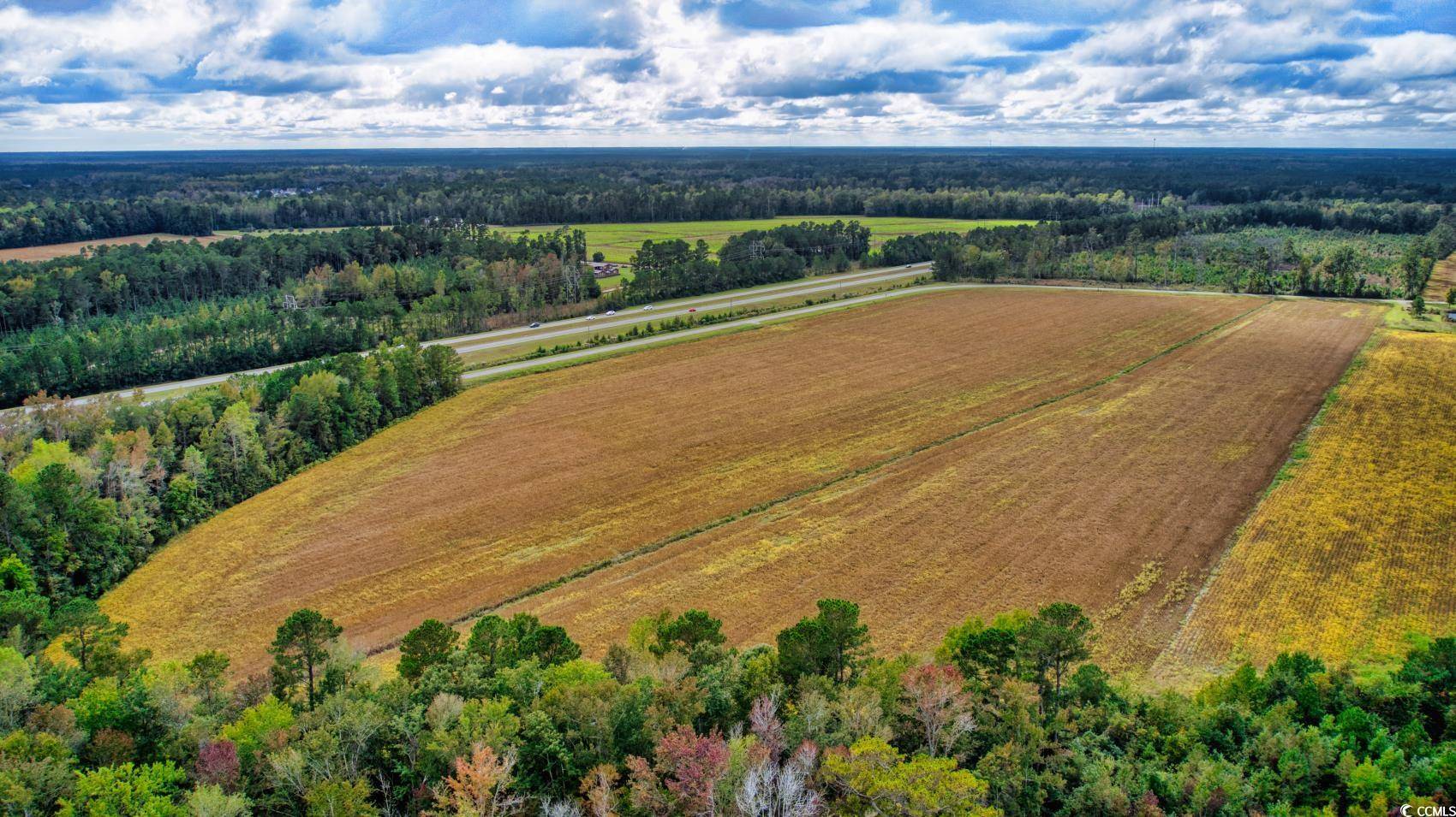 Conway, SC 29526,TBD Fowler Rd.