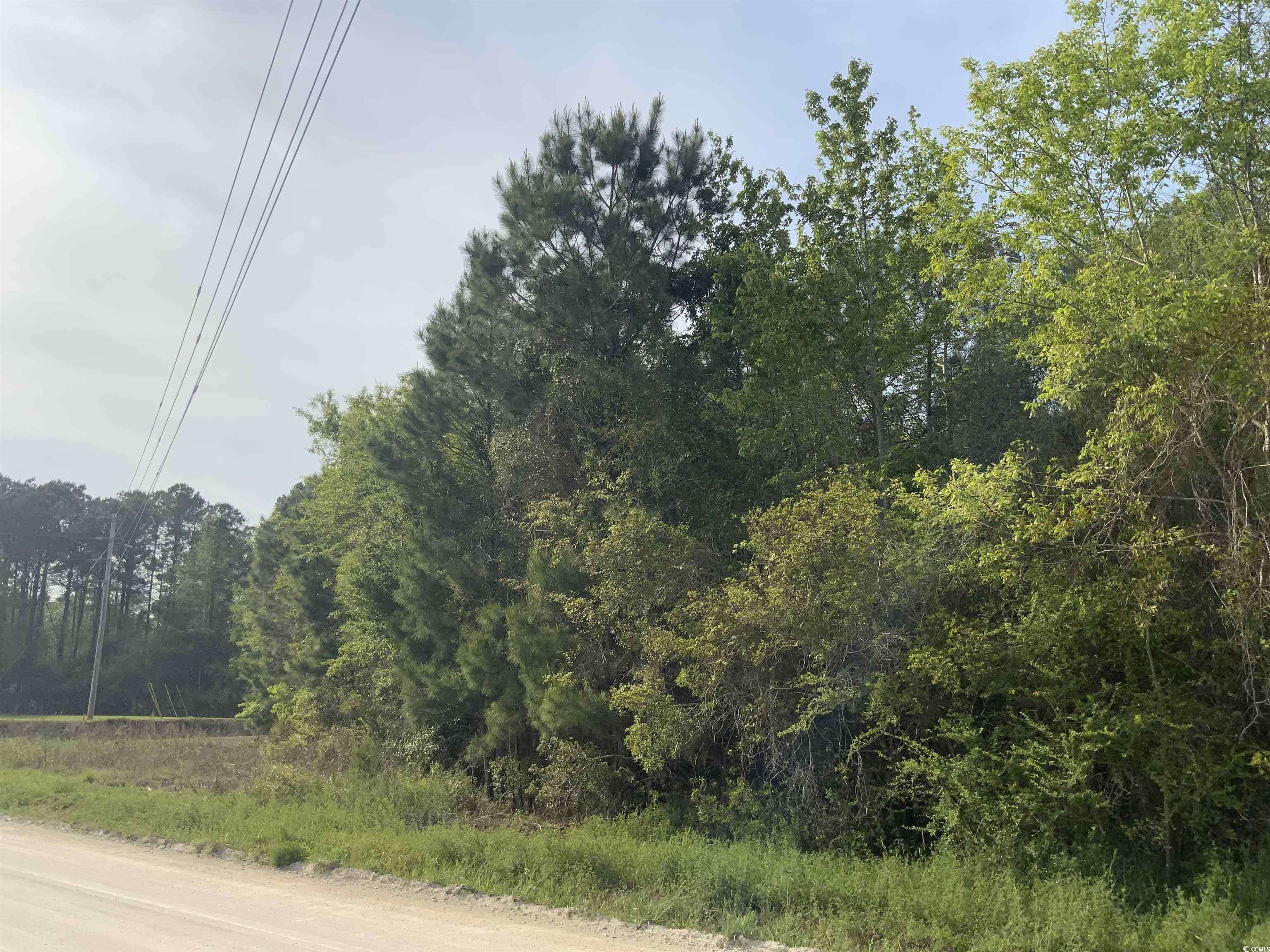 Loris, SC 29569,TBD McNeil Chapel Rd.