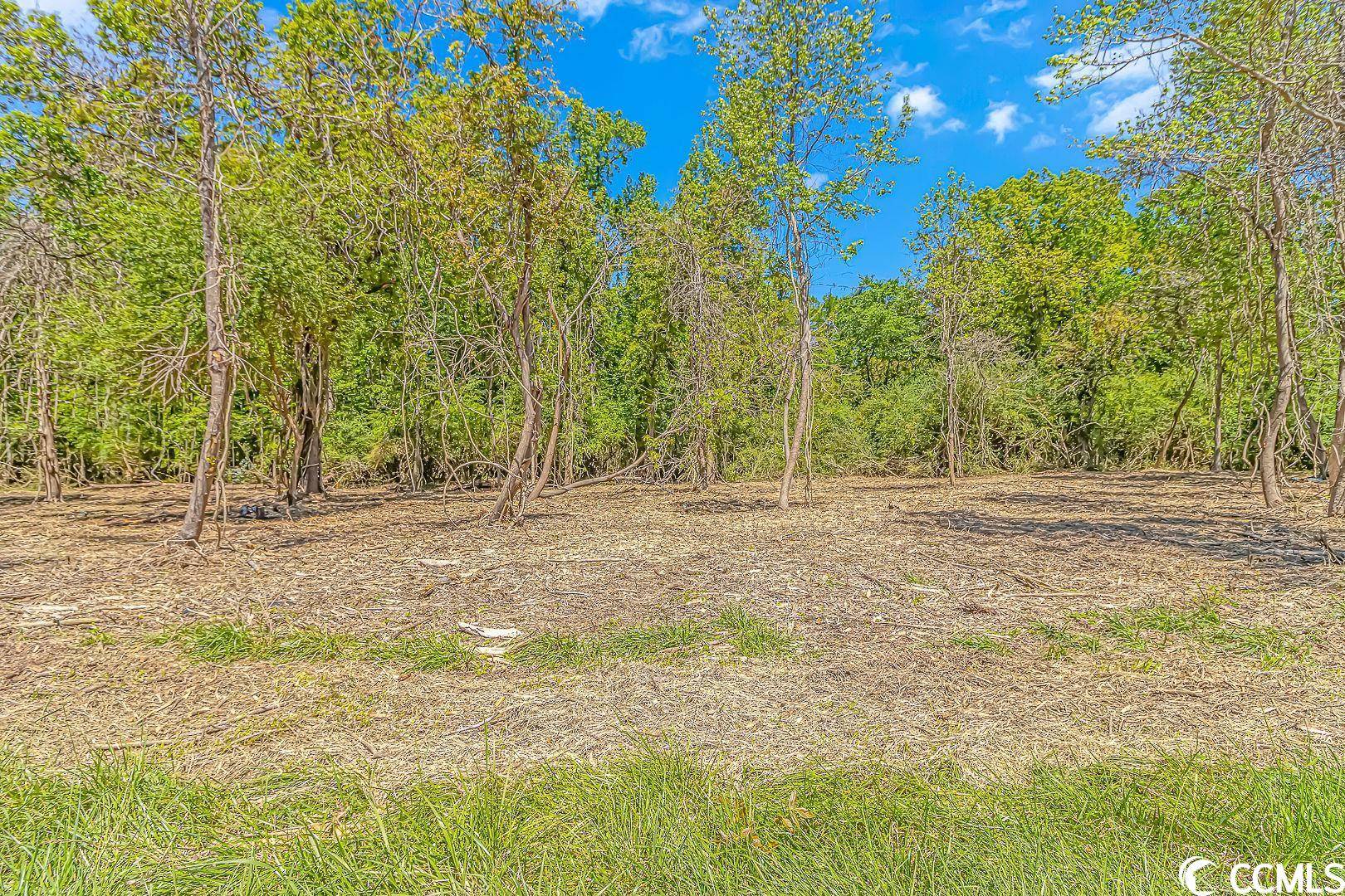 Conway, SC 29527,TBD Tranquil Rd.