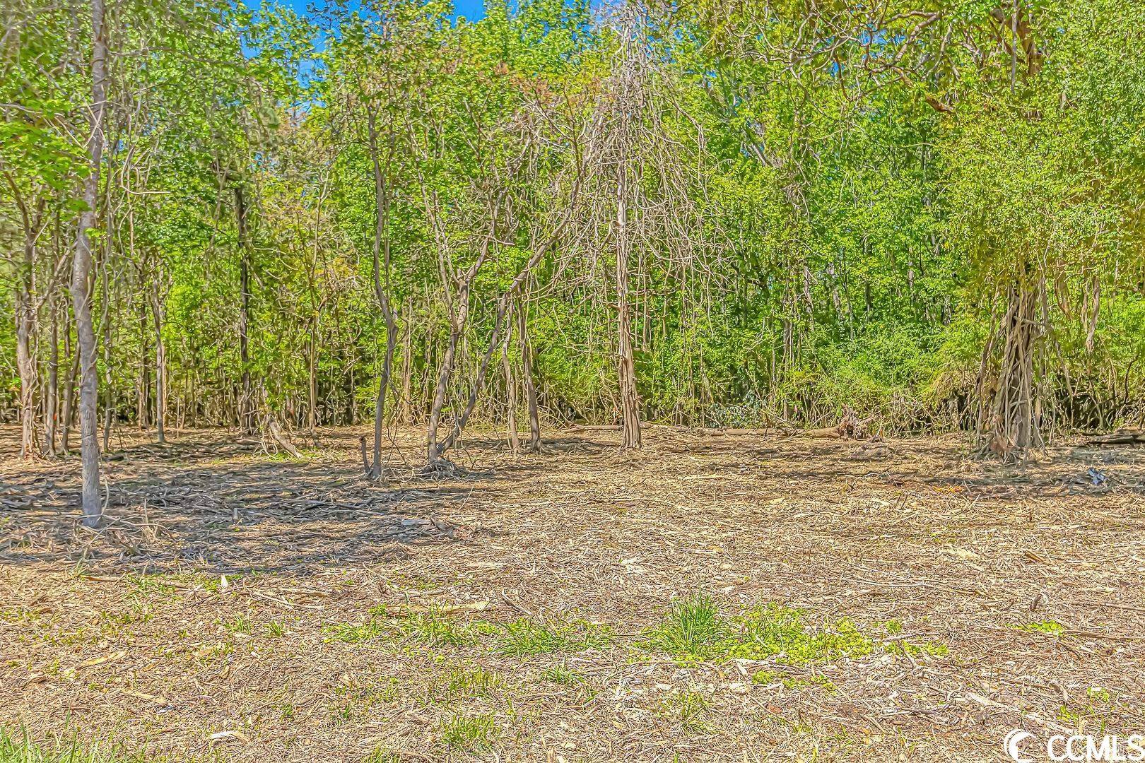 Conway, SC 29527,TBD Tranquil Rd.