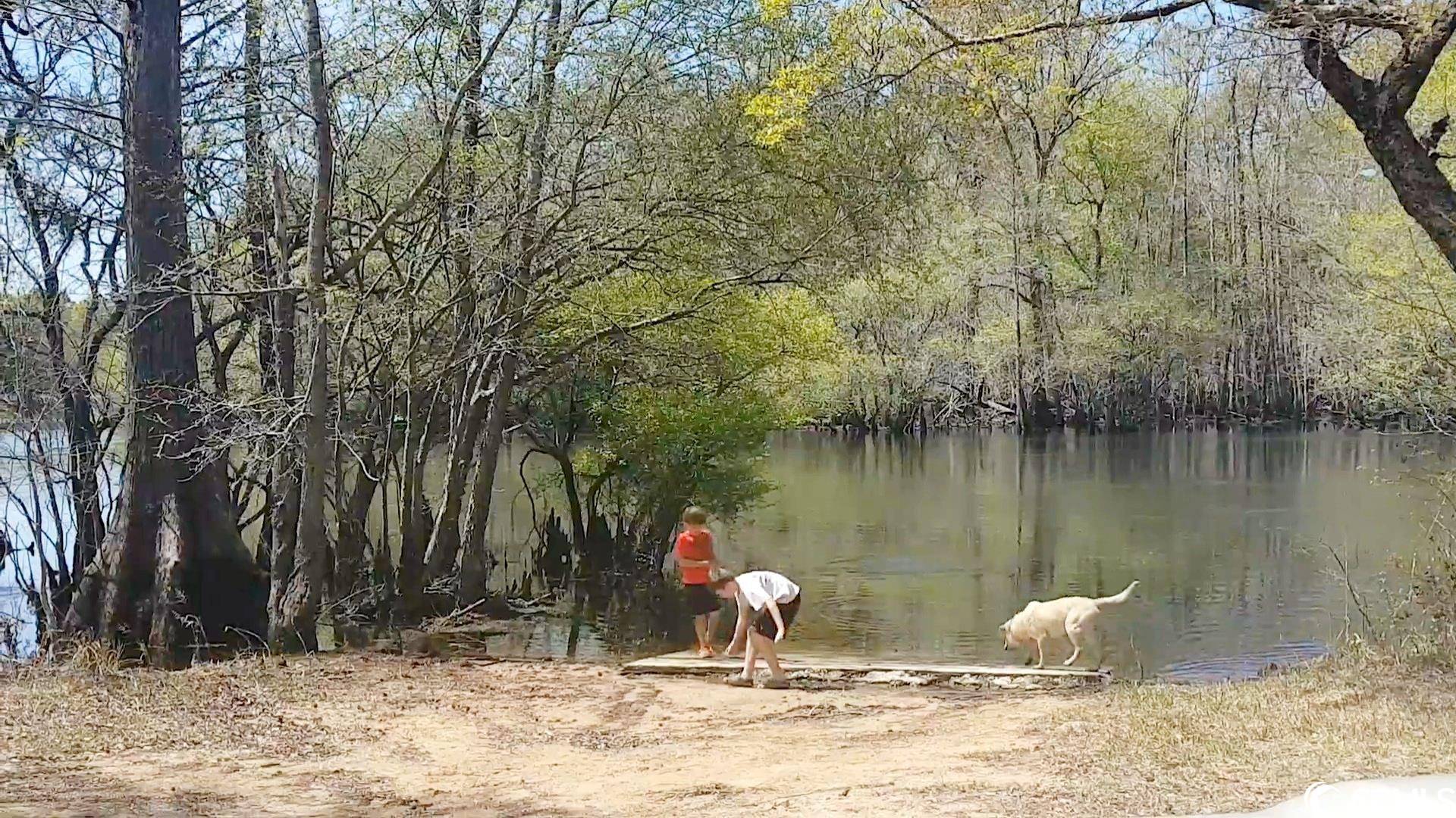 Galivants Ferry, SC 29544,TBD Black Island Rd.