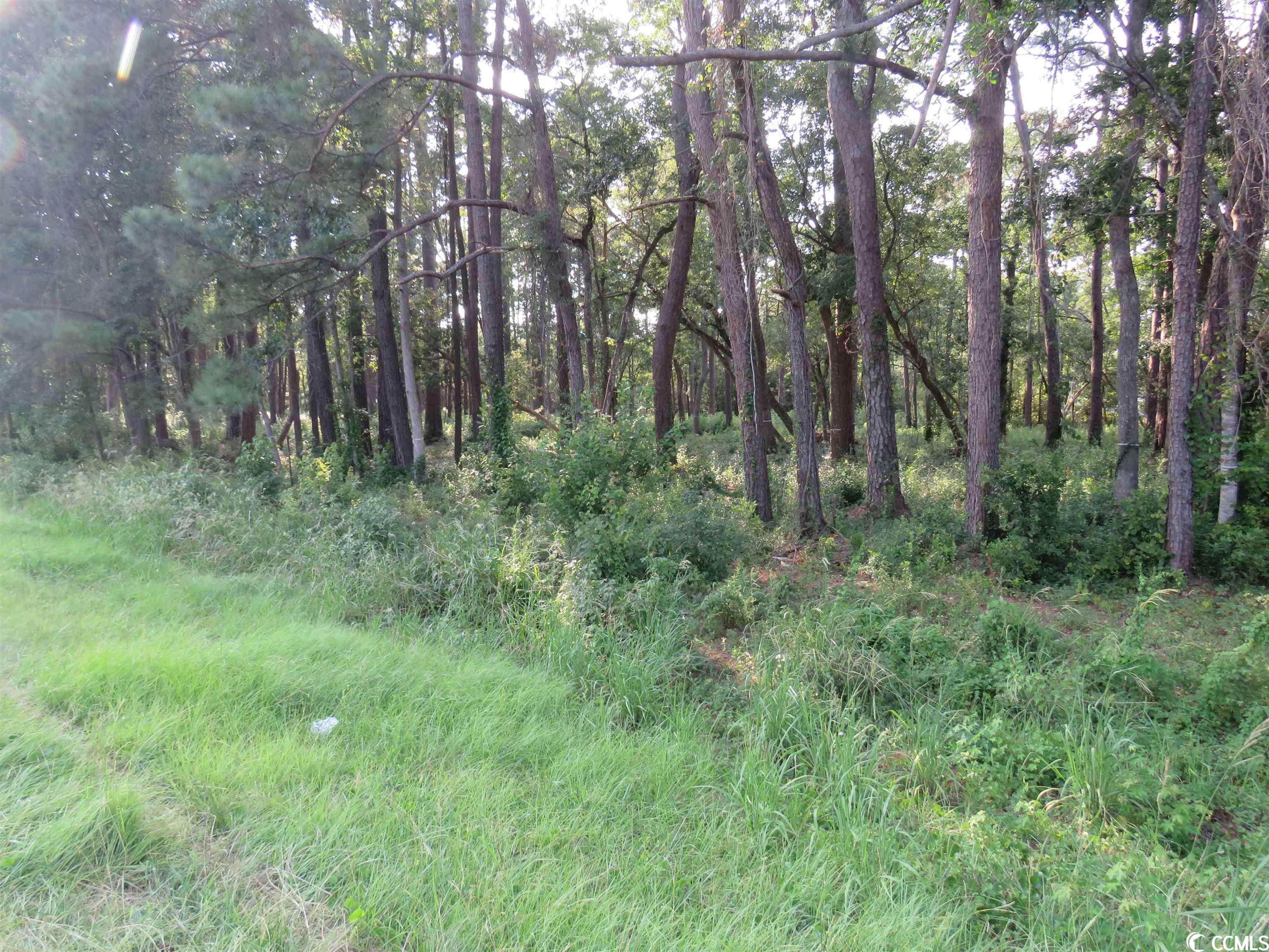 Little River, SC 29566,1901 N Hwy 17 S