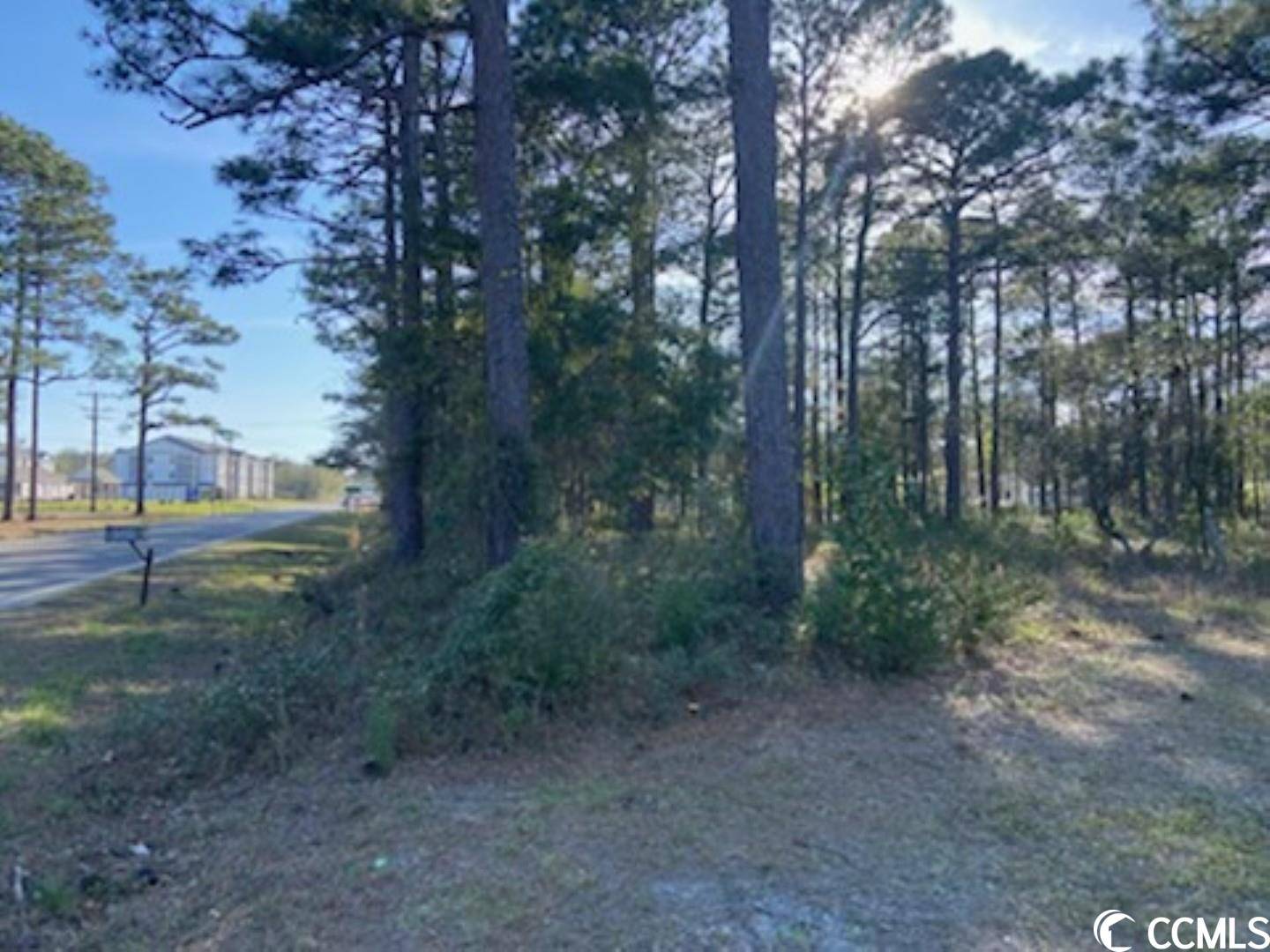 Carolina Shores, NC 28467,80 Pinewood Dr.