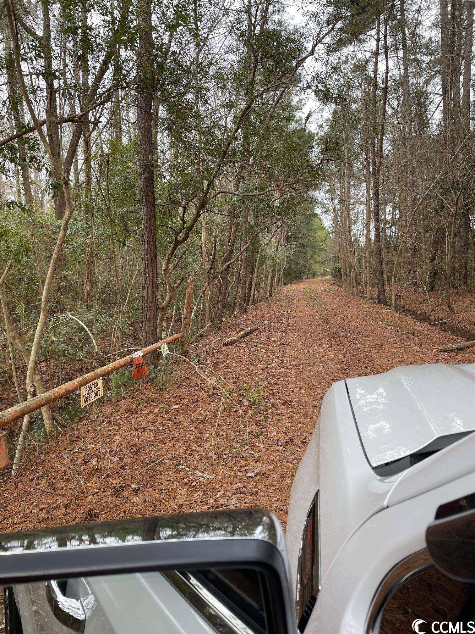 Conway, SC 29526,TBD Old Reaves Ferry Rd.