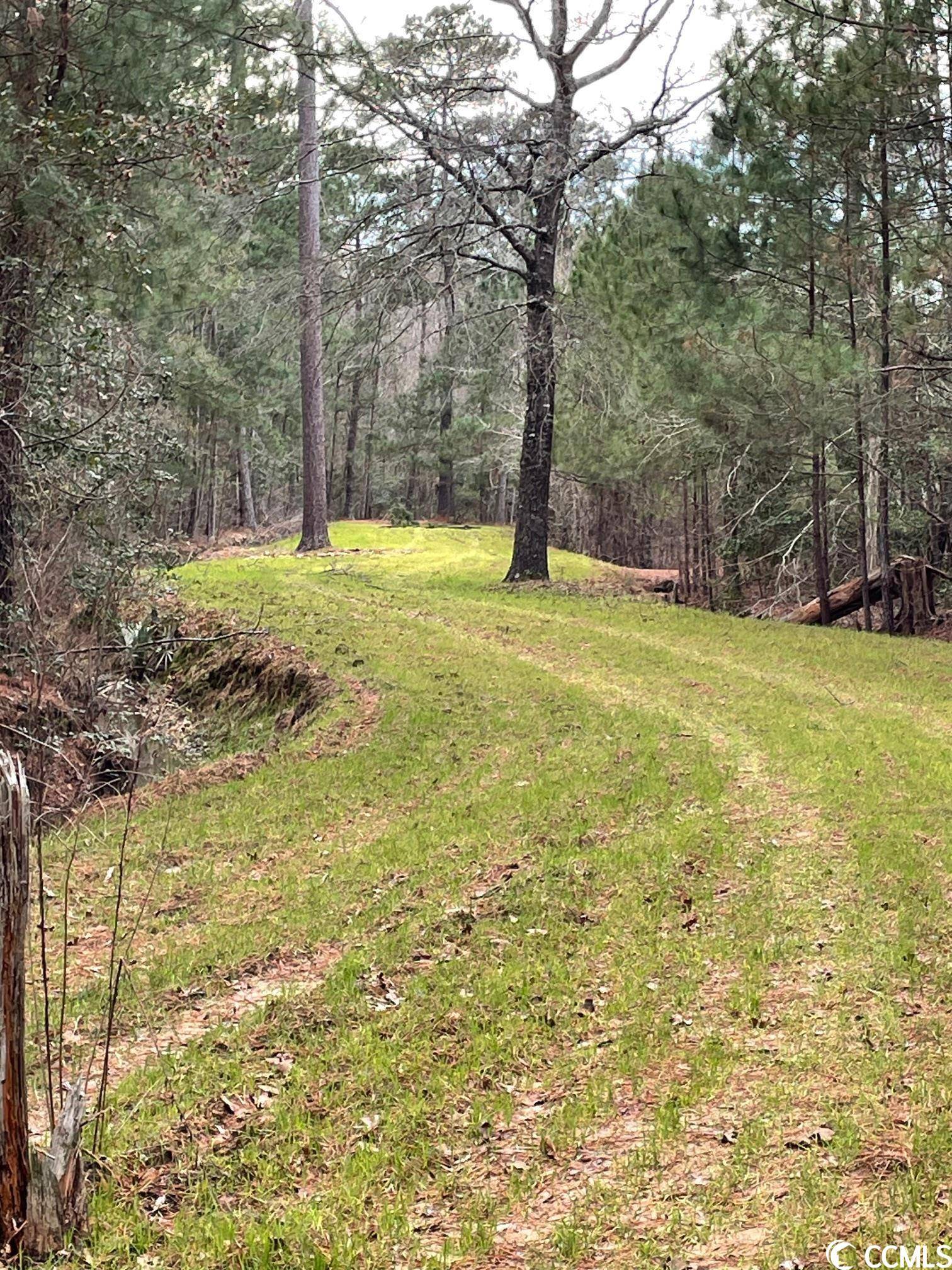 Conway, SC 29526,TBD Old Reaves Ferry Rd.