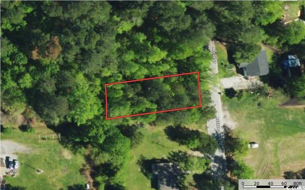Tabor City, NC 28463,207 Reece St.