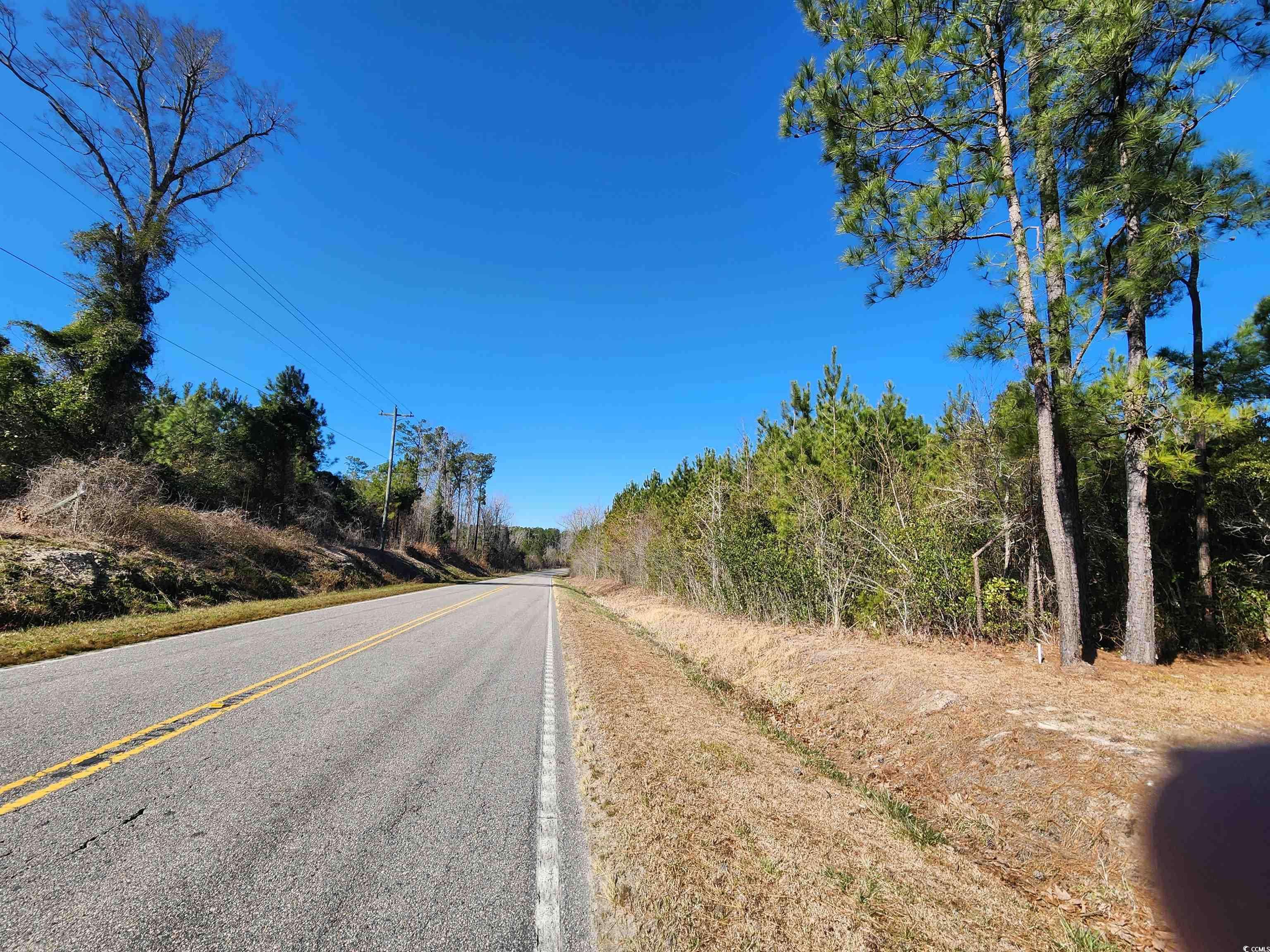 Loris, SC 29569,TBD Daisy Rd.